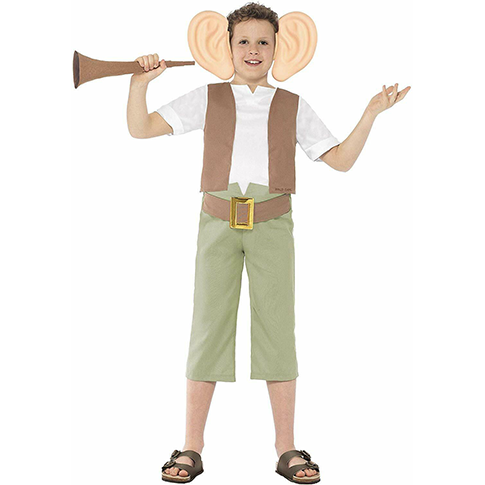 Roald Dahl's BFG costume